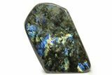 Flashy, Free-Standing Polished Labradorite - Madagascar #268101-2